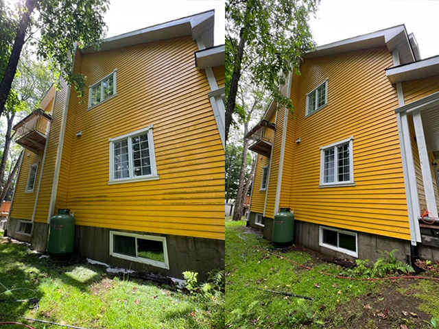 les-pros-entretien2 les-pros-entretien2