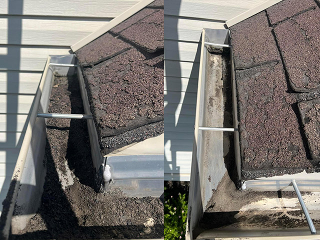 les-pros-entretien3 les-pros-entretien3